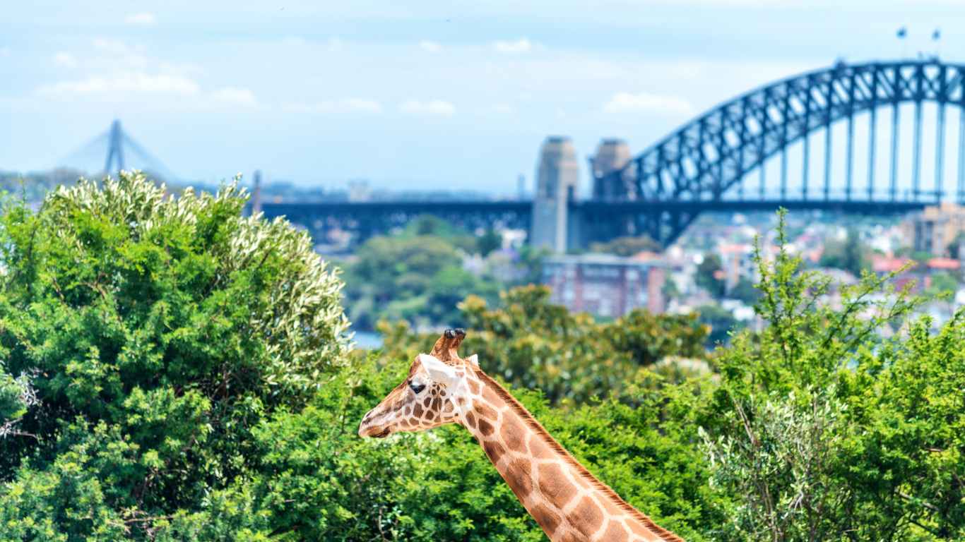 Accessible Attractions in and around Sydney NSW4
